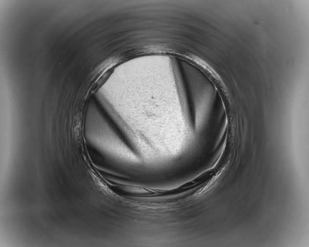 X0000086270801200704122028