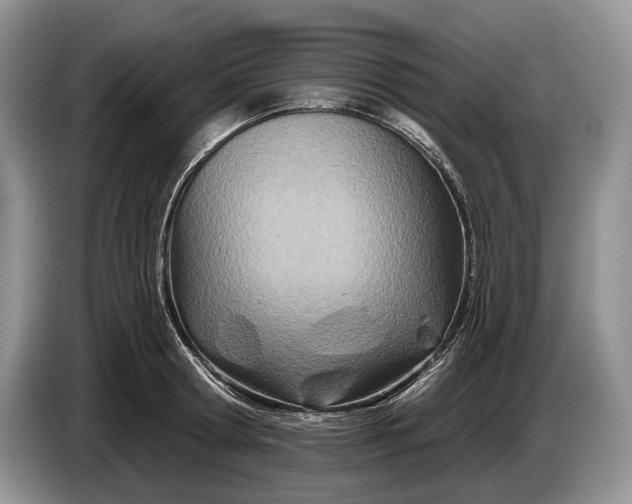 X0000086270802200704122028