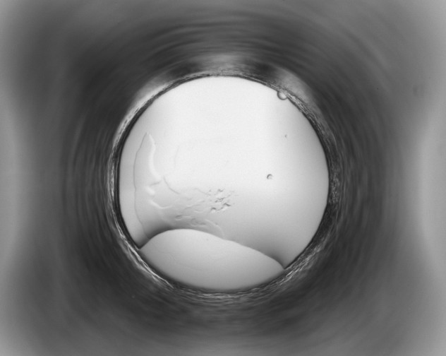 X0000086270804200704122028