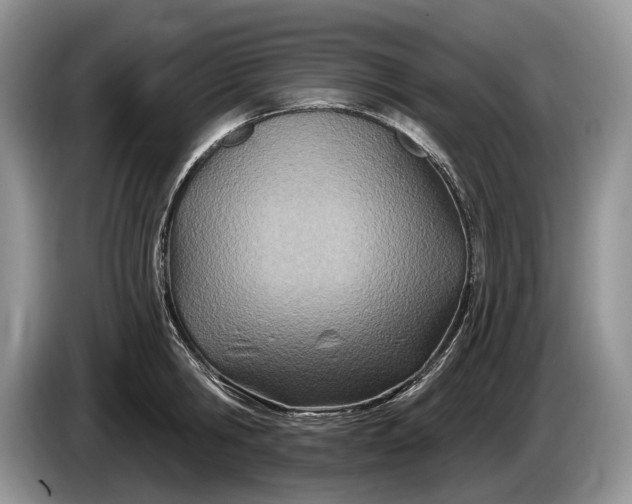 X0000086270806200704122028