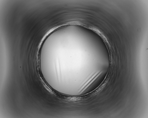 X0000086270808200704122028