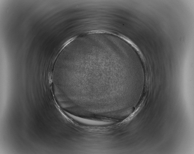 X0000086270809200704122028