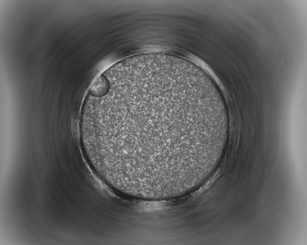 X0000086270810200704122028