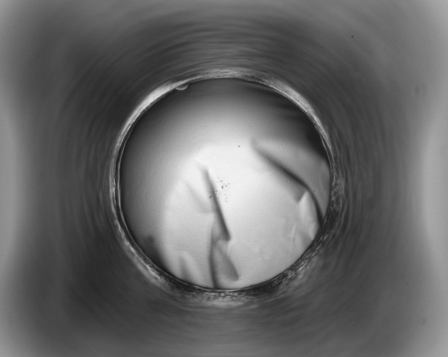 X0000086270811200704122028