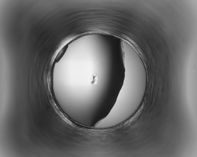 X0000086270812200704122028