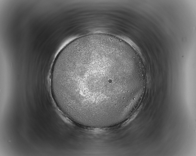 X0000086270814200704122028