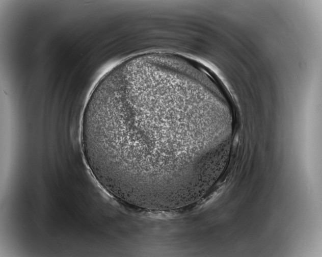 X0000086270815200704122028