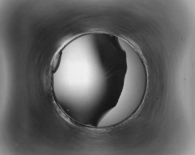 X0000086270816200704122028