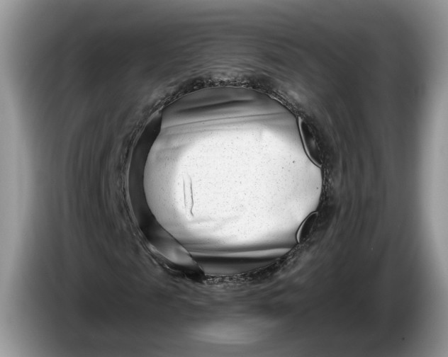 X0000086270817200704122027