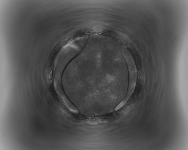 X0000086270818200704122027