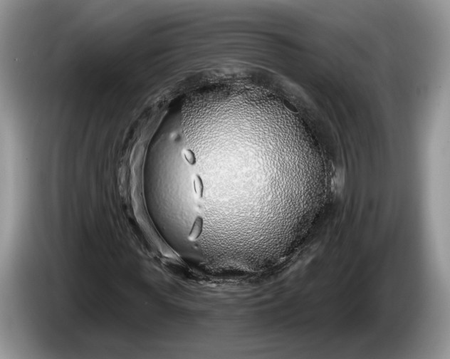 X0000086270819200704122027