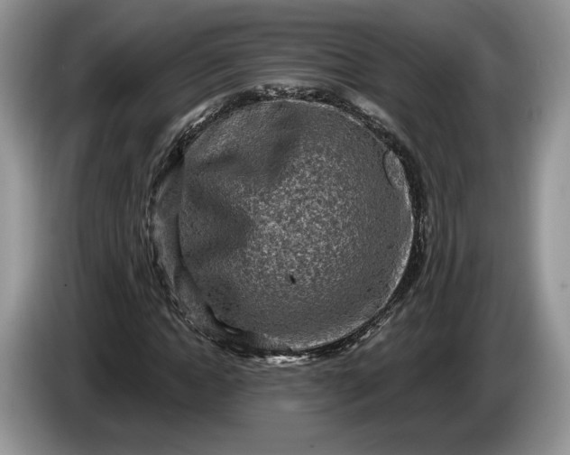 X0000086270822200704122027