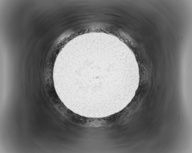 X0000086270824200704122027