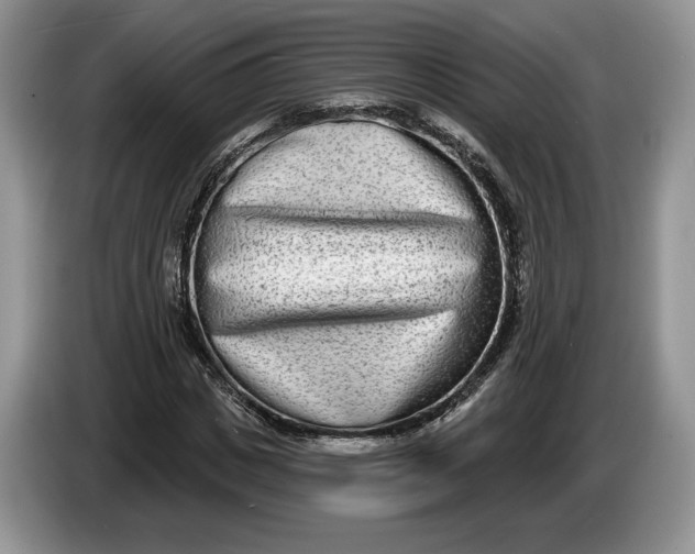 X0000086270825200704122027