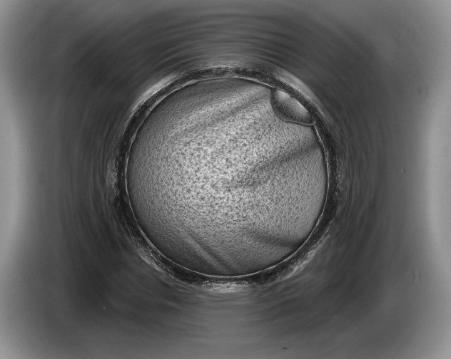 X0000086270826200704122027