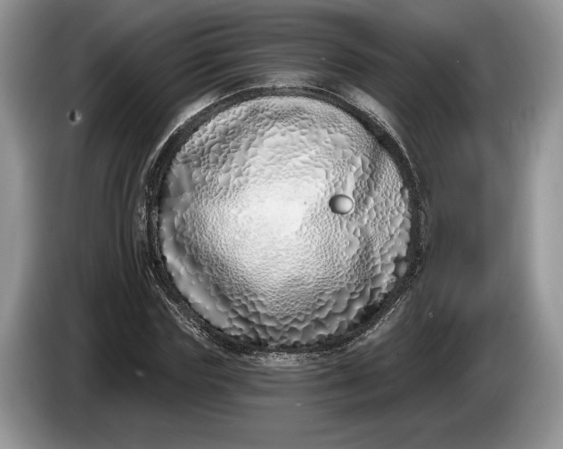 X0000086270827200704122027