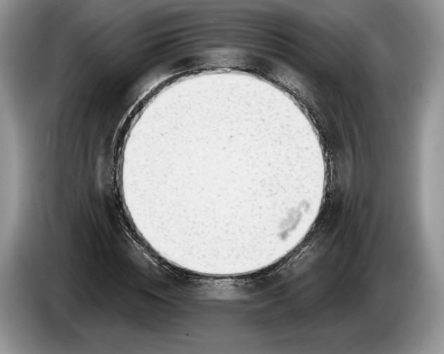 X0000086270828200704122027