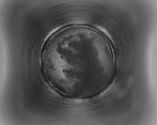 X0000086270829200704122027