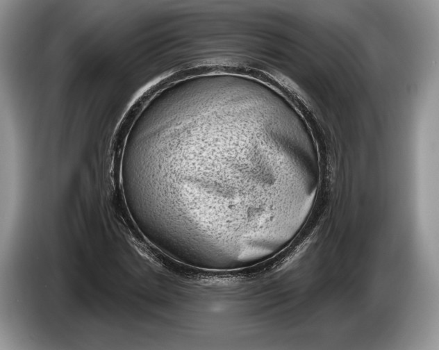 X0000086270830200704122027