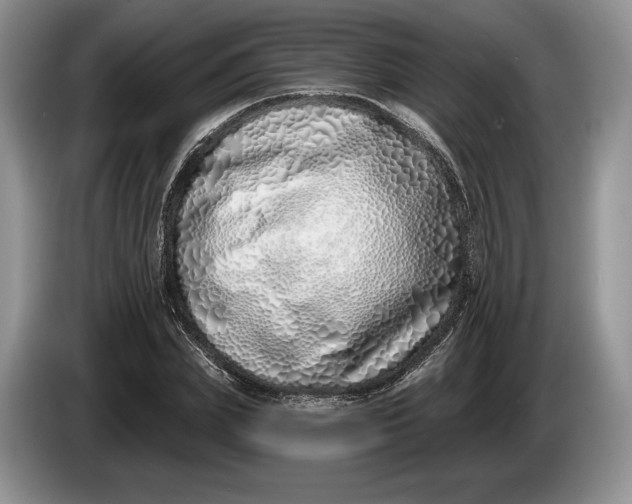 X0000086270831200704122027