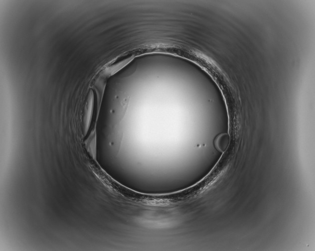 X0000086270833200704122027