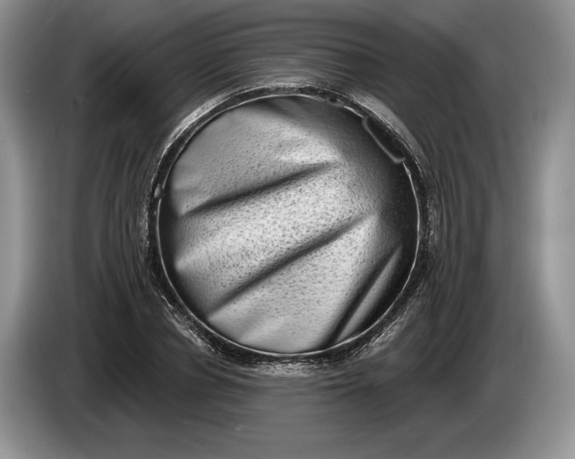 X0000086270834200704122027