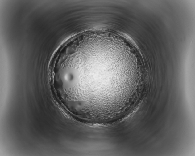 X0000086270835200704122027