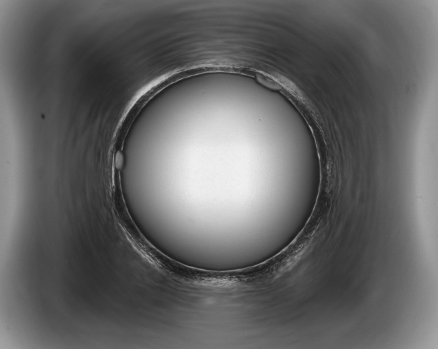 X0000086270838200704122027