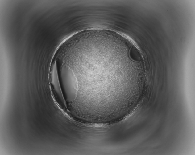 X0000086270839200704122027