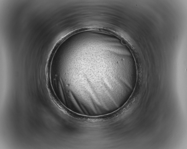 X0000086270840200704122027