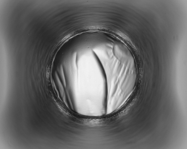 X0000086270841200704122027