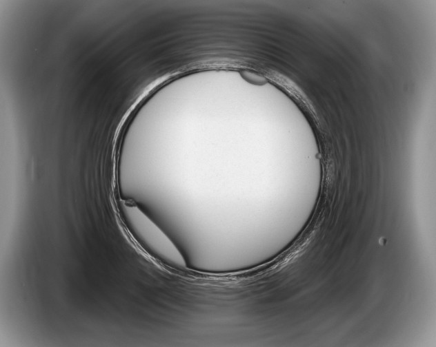 X0000086270844200704122028