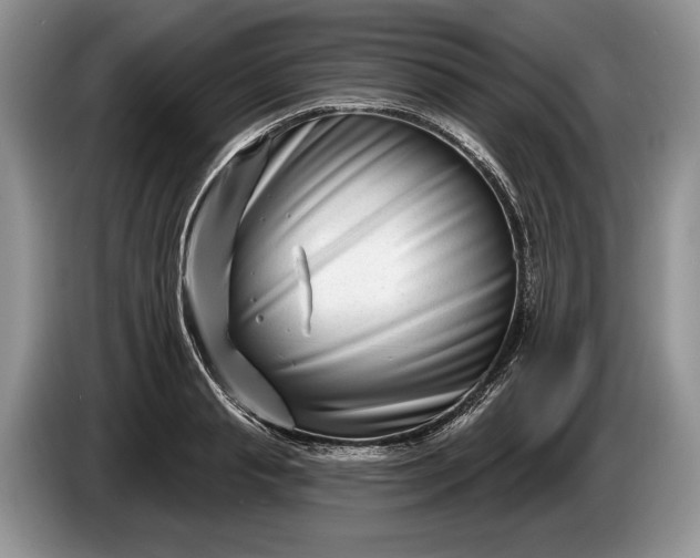 X0000086270845200704122028