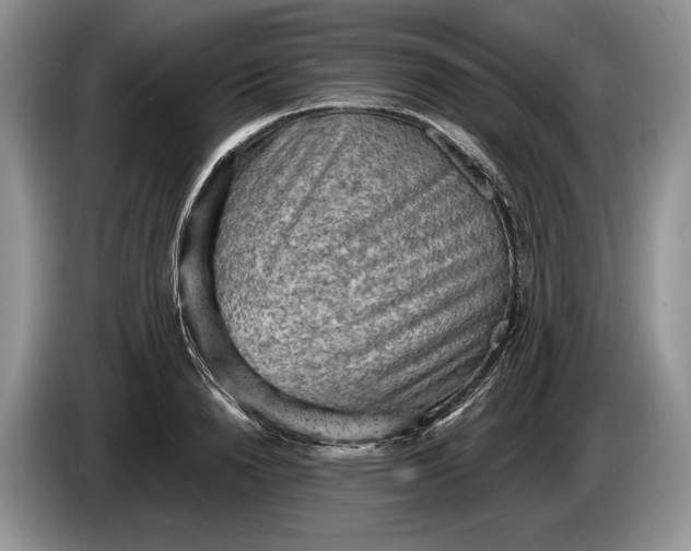 X0000086270846200704122028