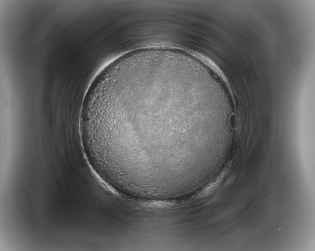 X0000086270847200704122028