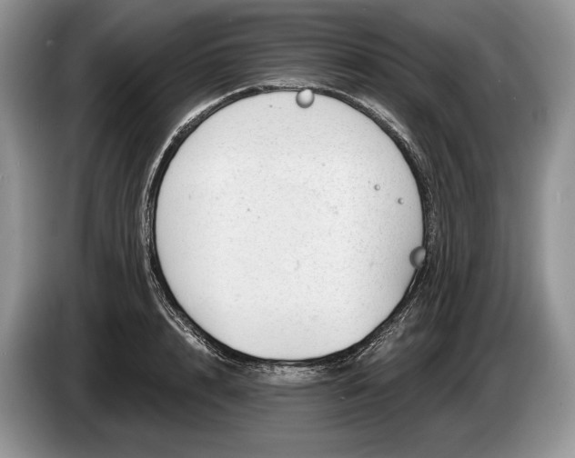 X0000086270848200704122028