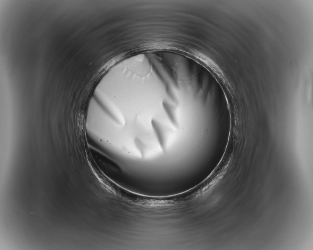 X0000086270849200704122028