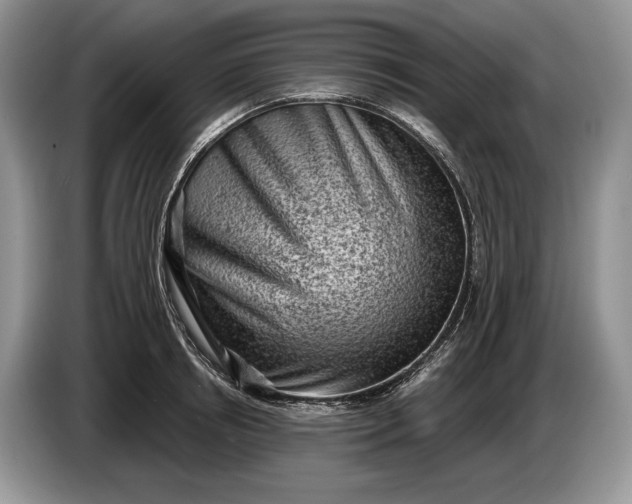 X0000086270850200704122028