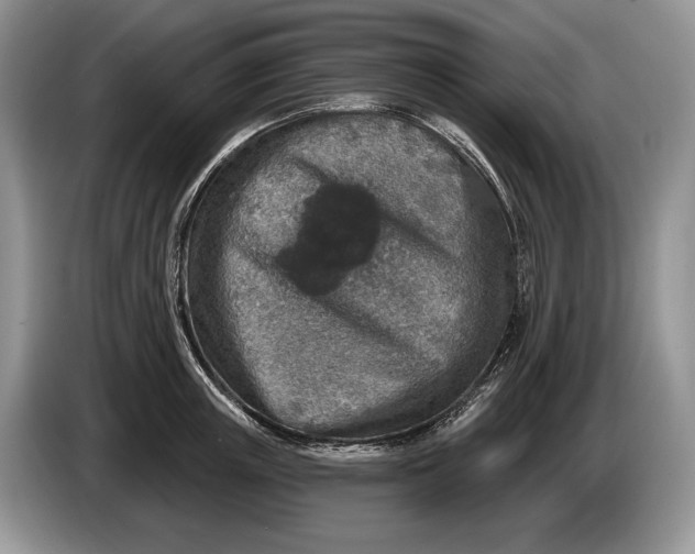 X0000086270851200704122028