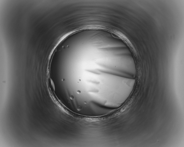 X0000086270852200704122028