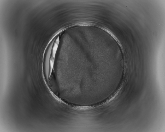 X0000086270853200704122028