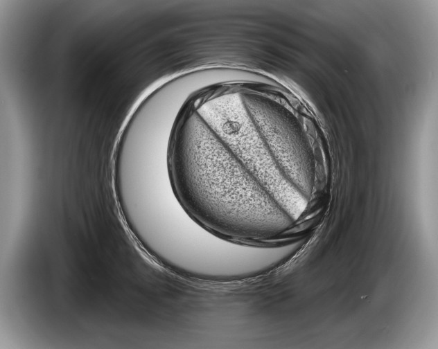 X0000086270854200704122028