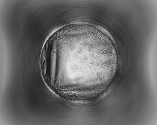 X0000086270855200704122028