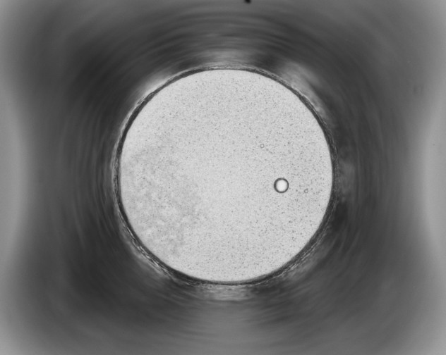 X0000086270856200704122028