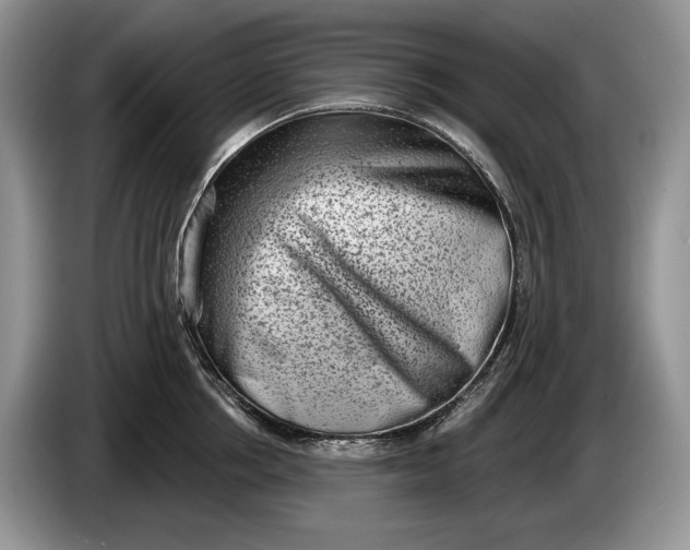 X0000086270858200704122028