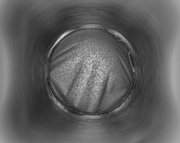 X0000086270860200704122028