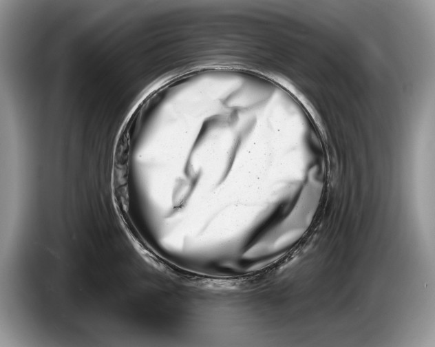 X0000086270861200704122028