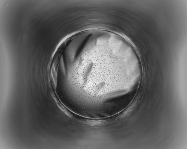 X0000086270862200704122028