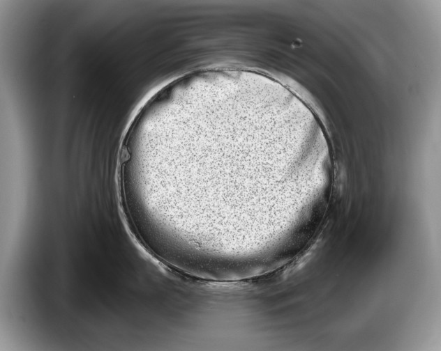 X0000086270863200704122028