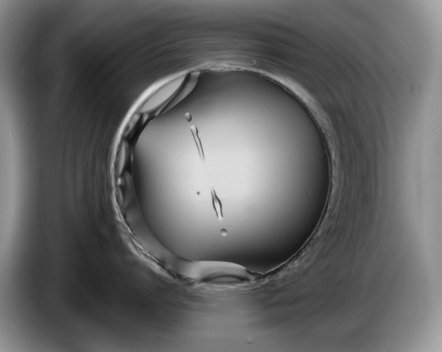 X0000086270864200704122028